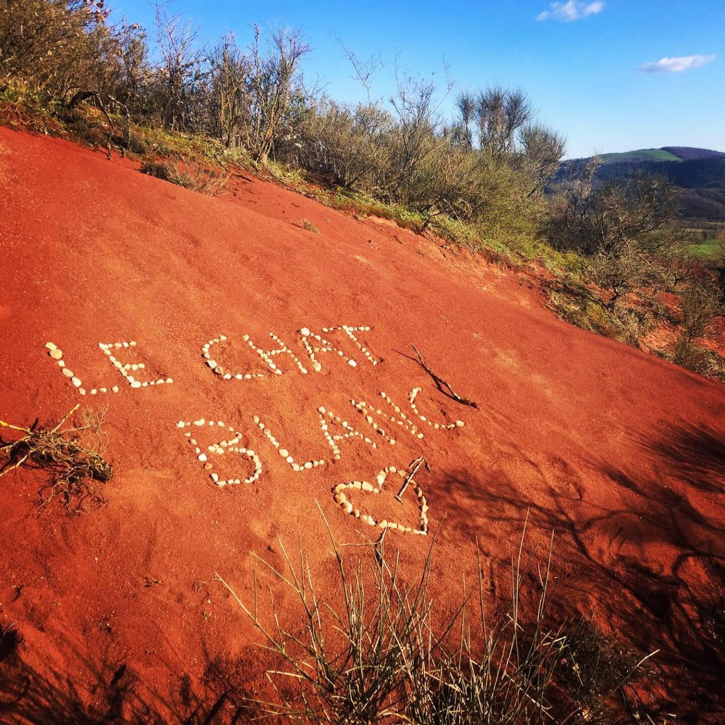 Le Chat Blanc Gite Versols-et-Lapeyre Buitenkant foto